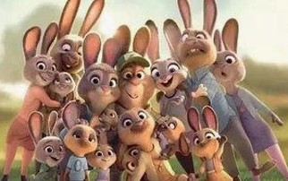 揭秘南昌娱乐圈热门大瓜与玄学小说推荐