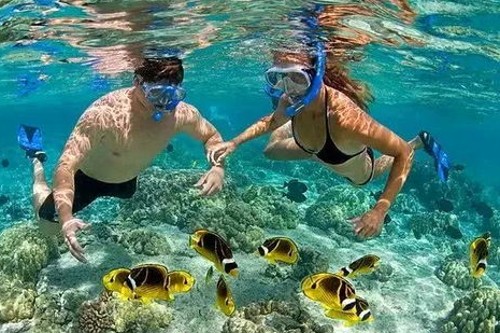 娱乐圈夫妻甜蜜日常与明星八卦轻松盘点