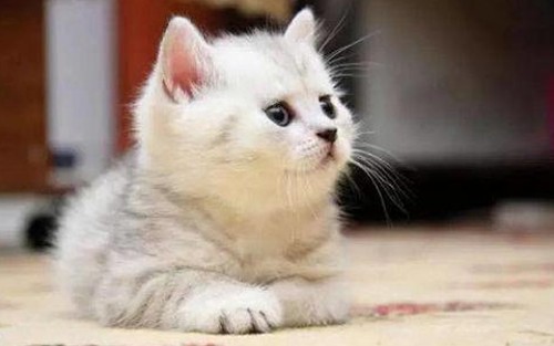 娱乐圈那些让人忍俊不禁的奇葩“吃瓜”名字背后人物故事