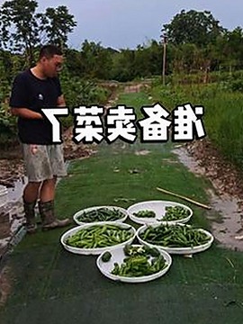 吴宣仪最新动态曝光，娱乐圈黑料再掀热议🔥