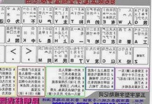 范冰冰工作室警示微信冒充诈骗，娱乐视频与八卦平台持续火热