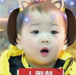 尼格买提遭误踢打假群：何老师“副业”成笑点，粉丝齐喊维权