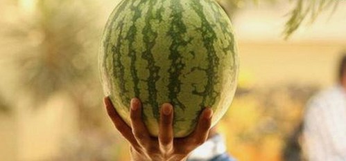 娱乐吃瓜成打工人解压新方式，背后隐含的现实与矛盾