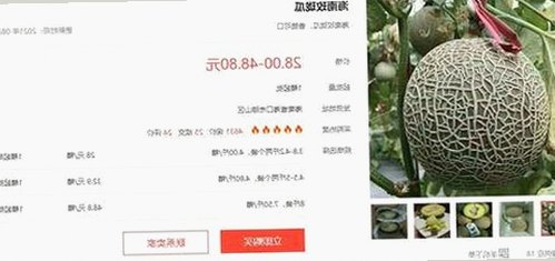 《吃瓜群众是大佬》火爆网络，普通网友逆袭成圈内大佬！