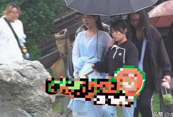 揭秘娱乐圈趣闻与幸福宠物吃瓜酱的奇妙生活