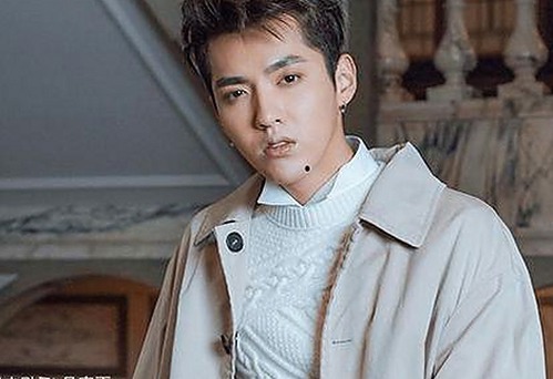 从折耳猫七七到深海揭秘：51吃瓜网的娱乐观察