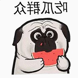 揭秘娱乐圈神秘进组风波，五位女星引发关注与讨论