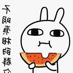 娱乐圈最新动态：瓜田里的秘密与吃瓜君的无语反应