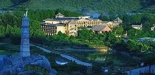 从娱乐吃瓜到汽车科技：揭秘背后不为人知的故事